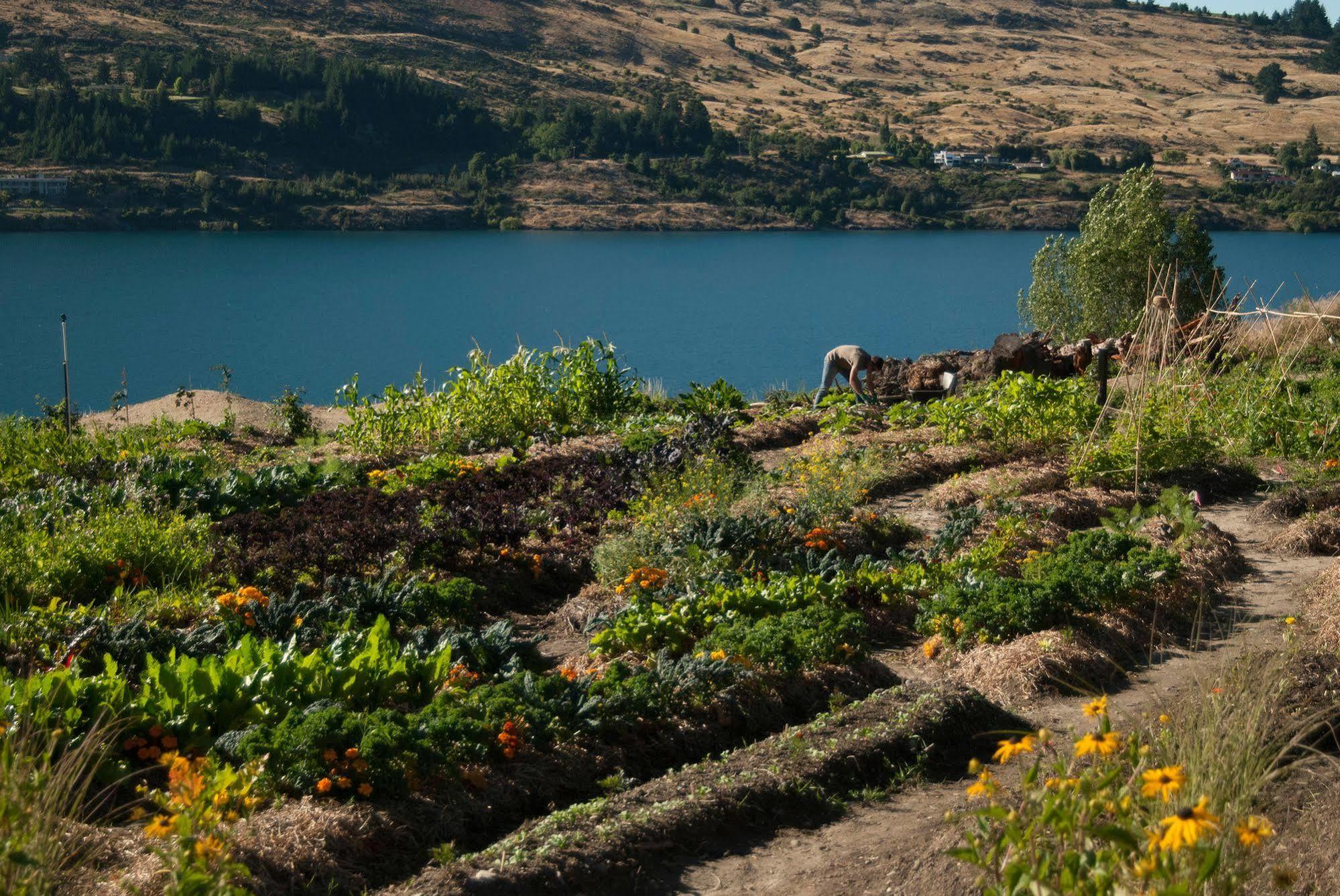 Sherwood Queenstown Dış mekan fotoğraf